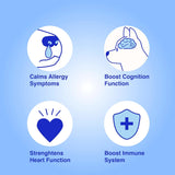 CLUB HACHIKO - Club Hachiko Wild‑Caught Alaska Fish Oil for Dogs & Cats 8 Fl.Oz. - The Red Vitamin MX - Aceite De Pescado Para Perros - {{ shop.shopifyCountryName }}