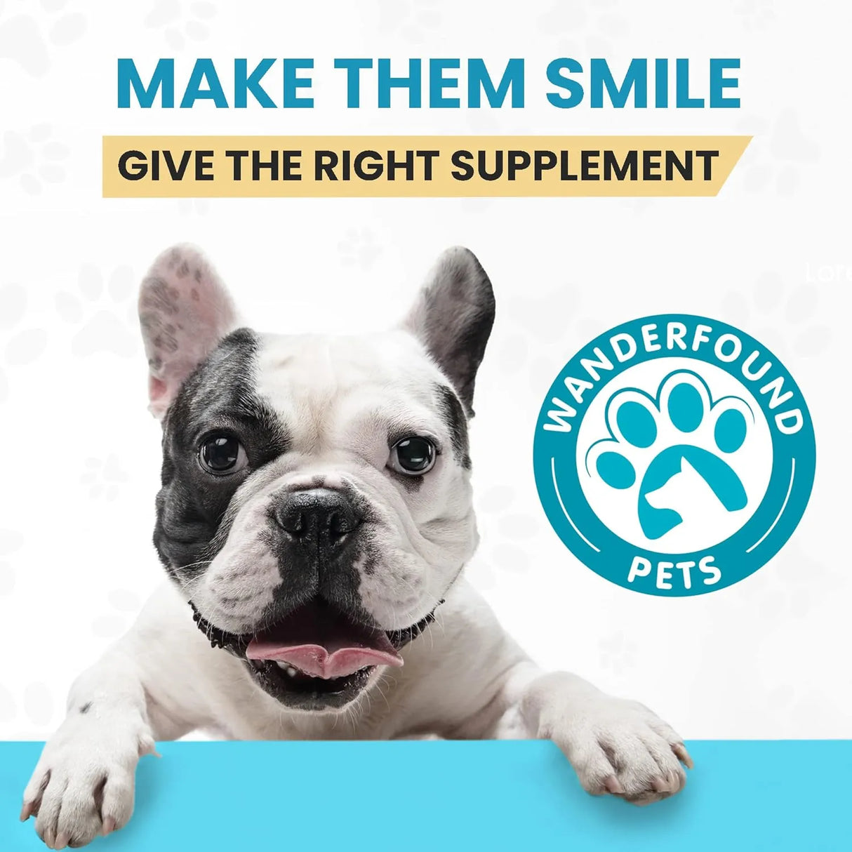 WANDERFOUND PETS - Wanderfound Pets 10-in-1 Dog Multivitamin 60 Tabletas Masticables - The Red Vitamin MX - Multivitamínicos Para Perros - {{ shop.shopifyCountryName }}