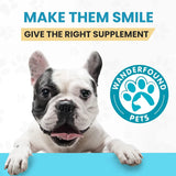 WANDERFOUND PETS - Wanderfound Pets 10-in-1 Dog Multivitamin 60 Tabletas Masticables - The Red Vitamin MX - Multivitamínicos Para Perros - {{ shop.shopifyCountryName }}
