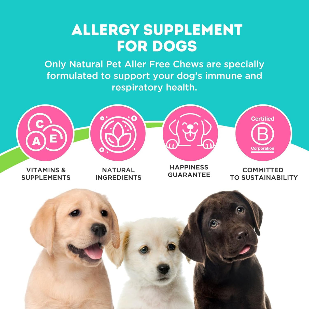 ONLY NATURAL PET AllerFree Advanced Allergy Support for Dogs 60 Masticables