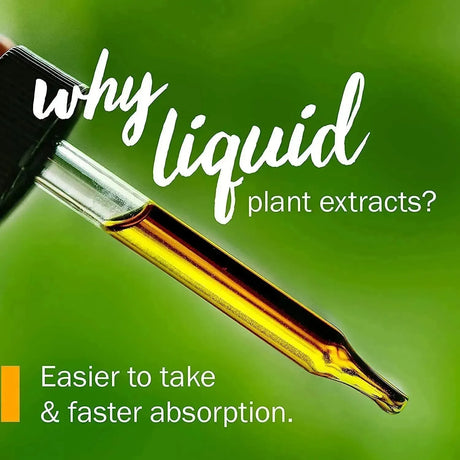 HERB PHARM - Herb Pharm Juniper Certified Organic Liquid Extract 1 Fl.Oz. - The Red Vitamin MX - Suplementos Alimenticios - {{ shop.shopifyCountryName }}