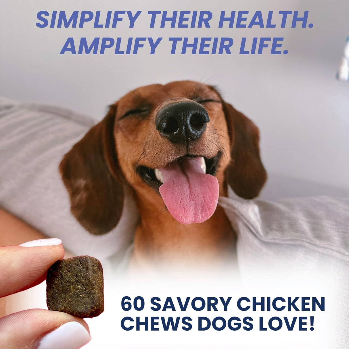Under the Weather Multivitamin for Dogs 60 Masticables