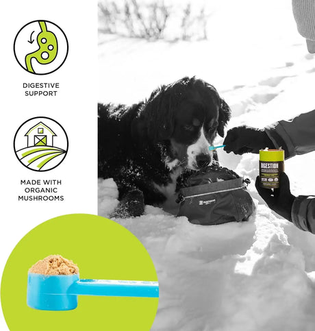 BIXBI - BIXBI Dog & Cat Clean Digestion Support Powder 60Gr. - The Red Vitamin MX - Suplementos Herbales Para Perros - {{ shop.shopifyCountryName }}