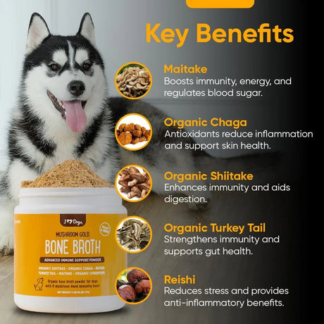 IHEARTDOGS - iHeartDogs Bone Broth & Mushroom Gold Powder 81.9Gr. - The Red Vitamin MX - Suplementos Herbales Para Perros - {{ shop.shopifyCountryName }}