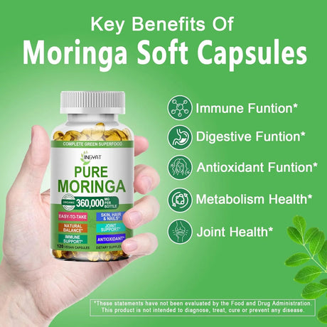 JINGYAT - JINGYAT Moringa 120 Capsulas Blandas - The Red Vitamin MX - Suplementos Alimenticios - {{ shop.shopifyCountryName }}