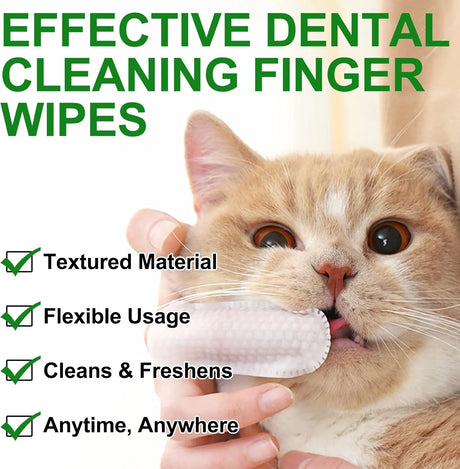 OIMMAL - OIMMAL Teeth Cleaning Wipes for Dogs & Cats 50 Toallitas - The Red Vitamin MX - Cuidado Dental Para Perros - {{ shop.shopifyCountryName }}