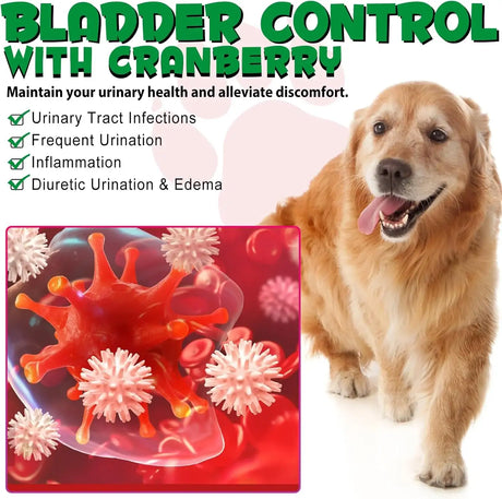 OIMMAL - Oimmal Urinary Tract for Dogs 2 Fl.Oz. - The Red Vitamin MX - Salud De Tracto Urinario Para Perros - {{ shop.shopifyCountryName }}