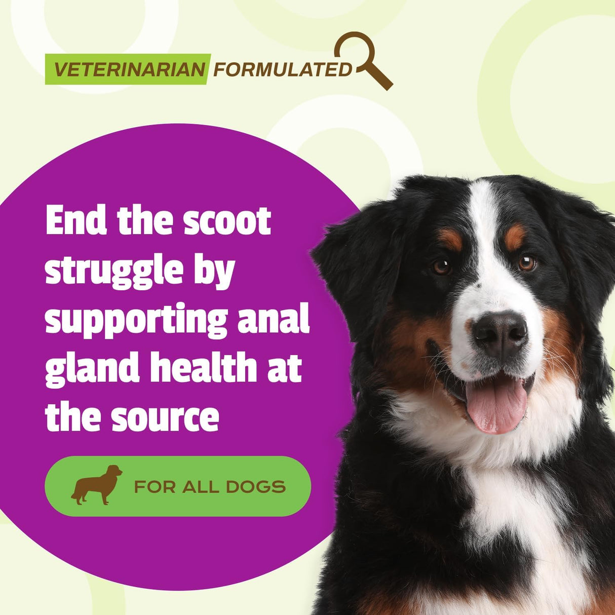 Pet Naturals Scoot Bars for Dogs Digestive Support 30 Masticables