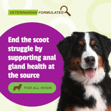 Pet Naturals Scoot Bars for Dogs Digestive Support 30 Masticables