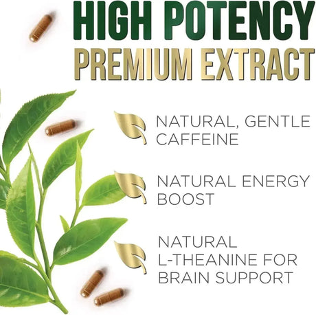 NATURE'S NUTRITION - Nature's Nutrition Green Tea Extract 1000Mg. 120 Capsulas - The Red Vitamin MX - Suplementos Alimenticios - {{ shop.shopifyCountryName }}