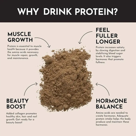 JUST INGREDIENTS - Just Ingredients Protein Powder Chocolate 15 Servicios - The Red Vitamin MX - Suplementos Alimenticios - {{ shop.shopifyCountryName }}