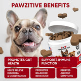 PAWZITIVE PETS - Pawzitive Pets Probiotics for Dogs Digestive Health 120 Masticables - The Red Vitamin MX - Probióticos Para Perros - {{ shop.shopifyCountryName }}