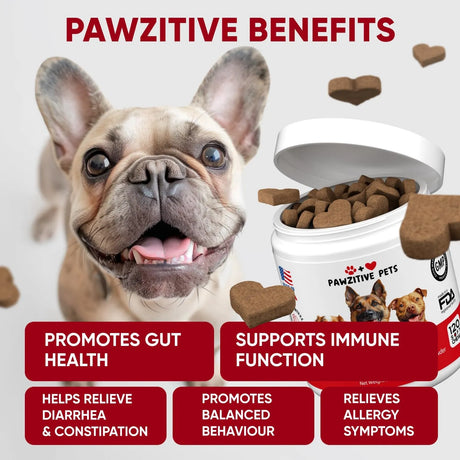 PAWZITIVE PETS - Pawzitive Pets Probiotics for Dogs Digestive Health 120 Masticables - The Red Vitamin MX - Probióticos Para Perros - {{ shop.shopifyCountryName }}