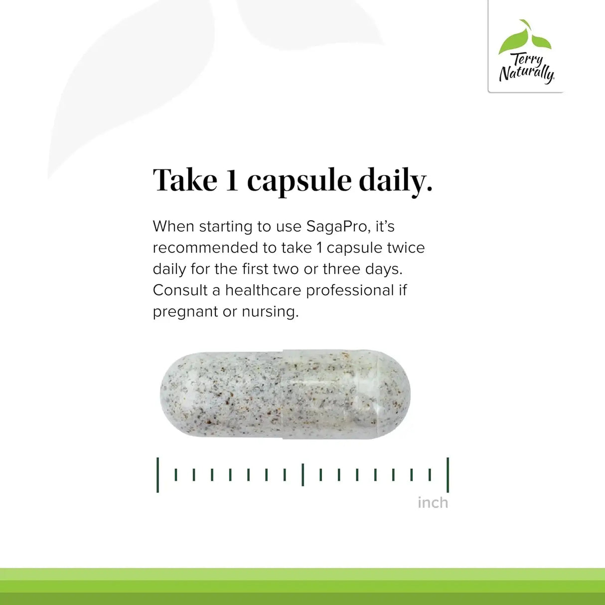 TERRY NATURALLY - Terry Naturally SagePro Bladder 60 Capsulas - The Red Vitamin MX - Suplementos Alimenticios - {{ shop.shopifyCountryName }}