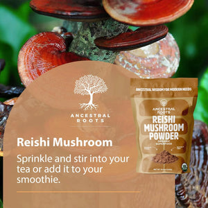 ANCESTRAL ROOTS - ANCESTRAL ROOTS Red Reishi Mushroom Powder 113Gr. - The Red Vitamin MX - Suplementos Alimenticios - {{ shop.shopifyCountryName }}
