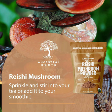 ANCESTRAL ROOTS - ANCESTRAL ROOTS Red Reishi Mushroom Powder 113Gr. - The Red Vitamin MX - Suplementos Alimenticios - {{ shop.shopifyCountryName }}