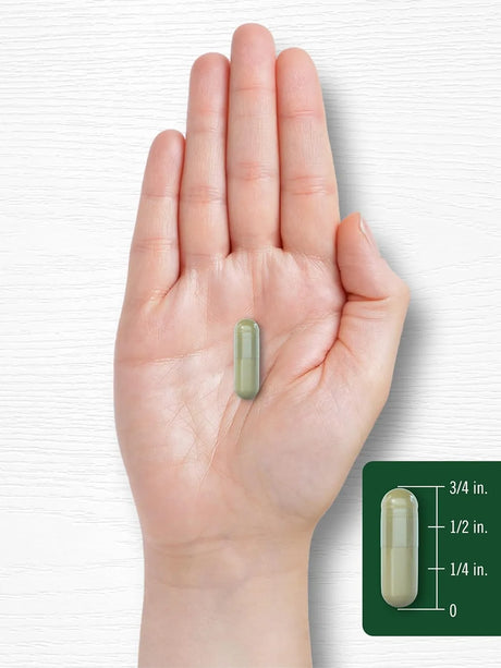 CARLYLE - Carlyle Wormwood 430Mg. 200 Capsulas - The Red Vitamin MX - Suplementos Alimenticios - {{ shop.shopifyCountryName }}