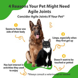 PET WELLBEING - Pet Wellbeing Agile Joints for Dogs 4 Fl.Oz. - The Red Vitamin MX - Cuidado De Cadera Y Articulaciones Para Perros - {{ shop.shopifyCountryName }}