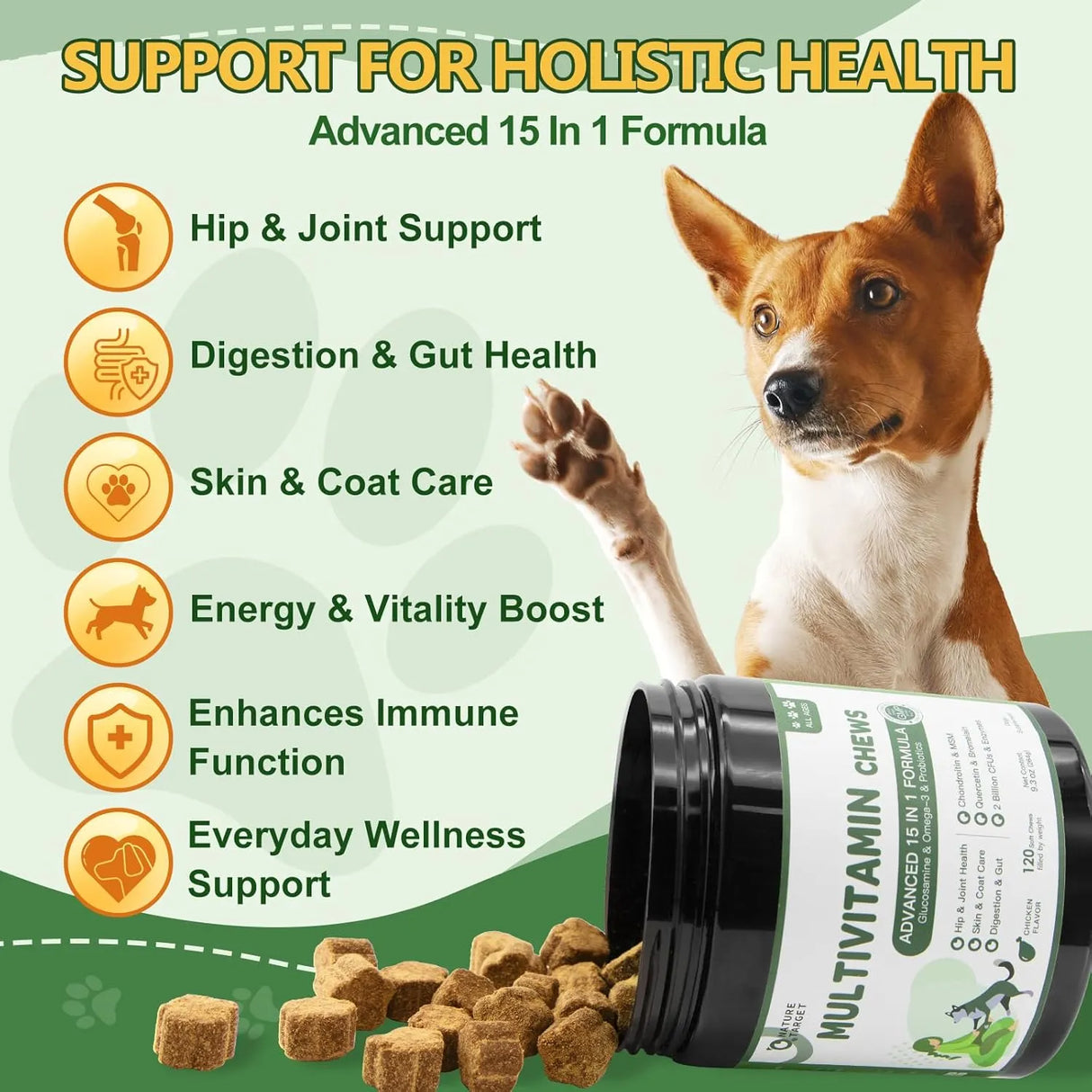 NATURE TARGET - NATURE TARGET Multivitamin for Dogs 120 Masticables - The Red Vitamin MX - Multivitamínicos Para Perros - {{ shop.shopifyCountryName }}