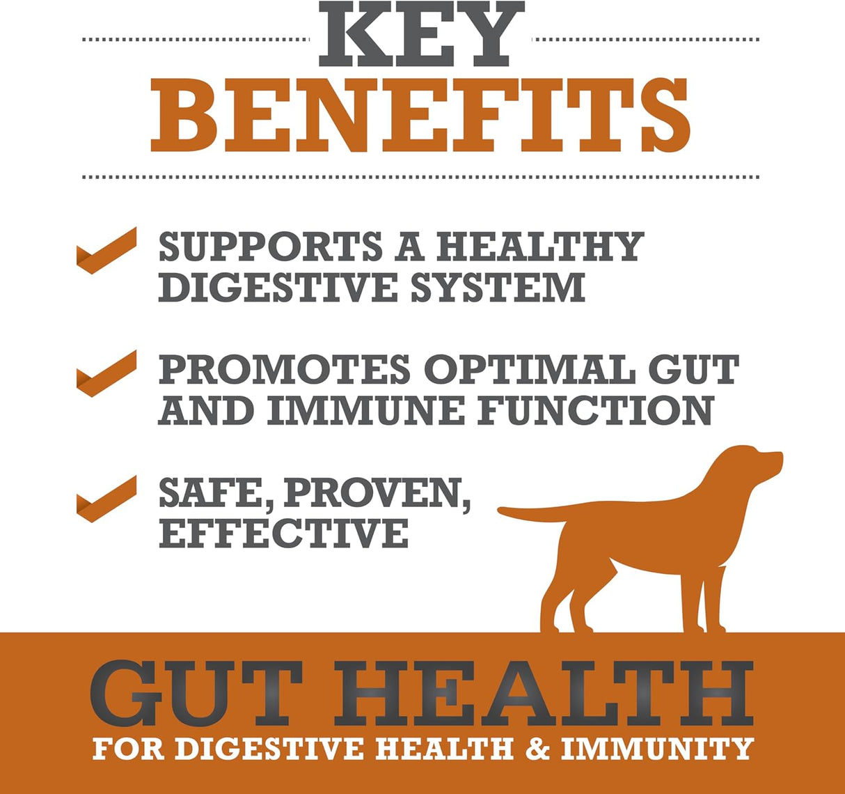 WINPRO Dog Gut Health Supplements 60 Masticables