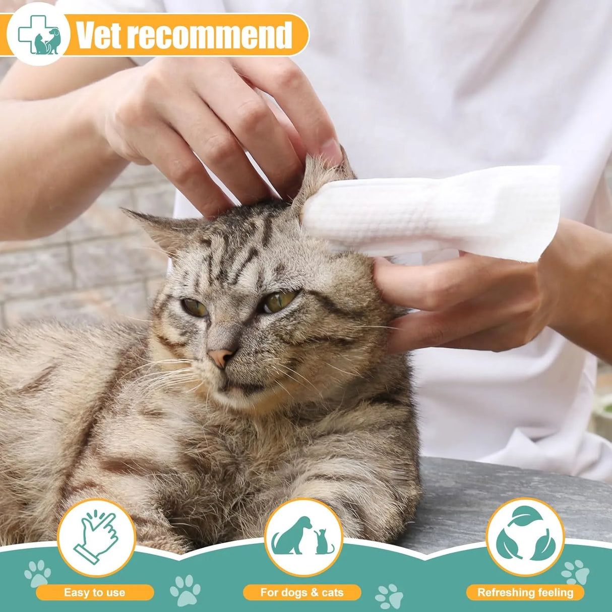 FIVESEED - FiveSeed Ear Wipes for Dogs and Cats 50 Toallitas - The Red Vitamin MX - Cuidado Del Oído De Perros - {{ shop.shopifyCountryName }}