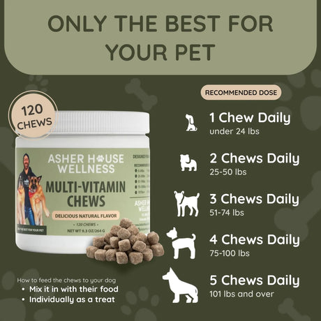 ASHER HOUSE WELLNESS - ASHER HOUSE WELLNESS Dog Multivitamin Chews 120 Masticables - The Red Vitamin MX - Multivitamínicos Para Perros - {{ shop.shopifyCountryName }}