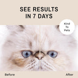 Eye Envy Tear Stain Remover Solution for Cats 237Ml.