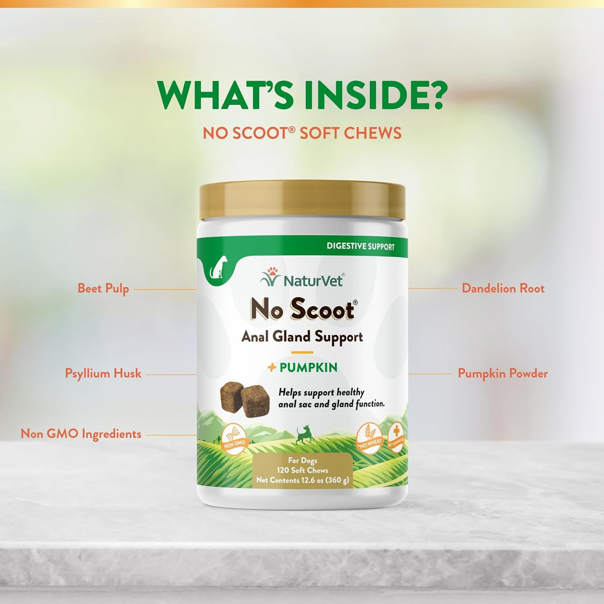 NaturVet No Scoot for Dogs 120 Masticables