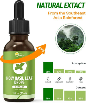 KINGHEALTH - KingHealth Organic Holy Basil Tulsi Leaf Extract Liquid Tincture 1 Fl.Oz. - The Red Vitamin MX - Suplementos Alimenticios - {{ shop.shopifyCountryName }}