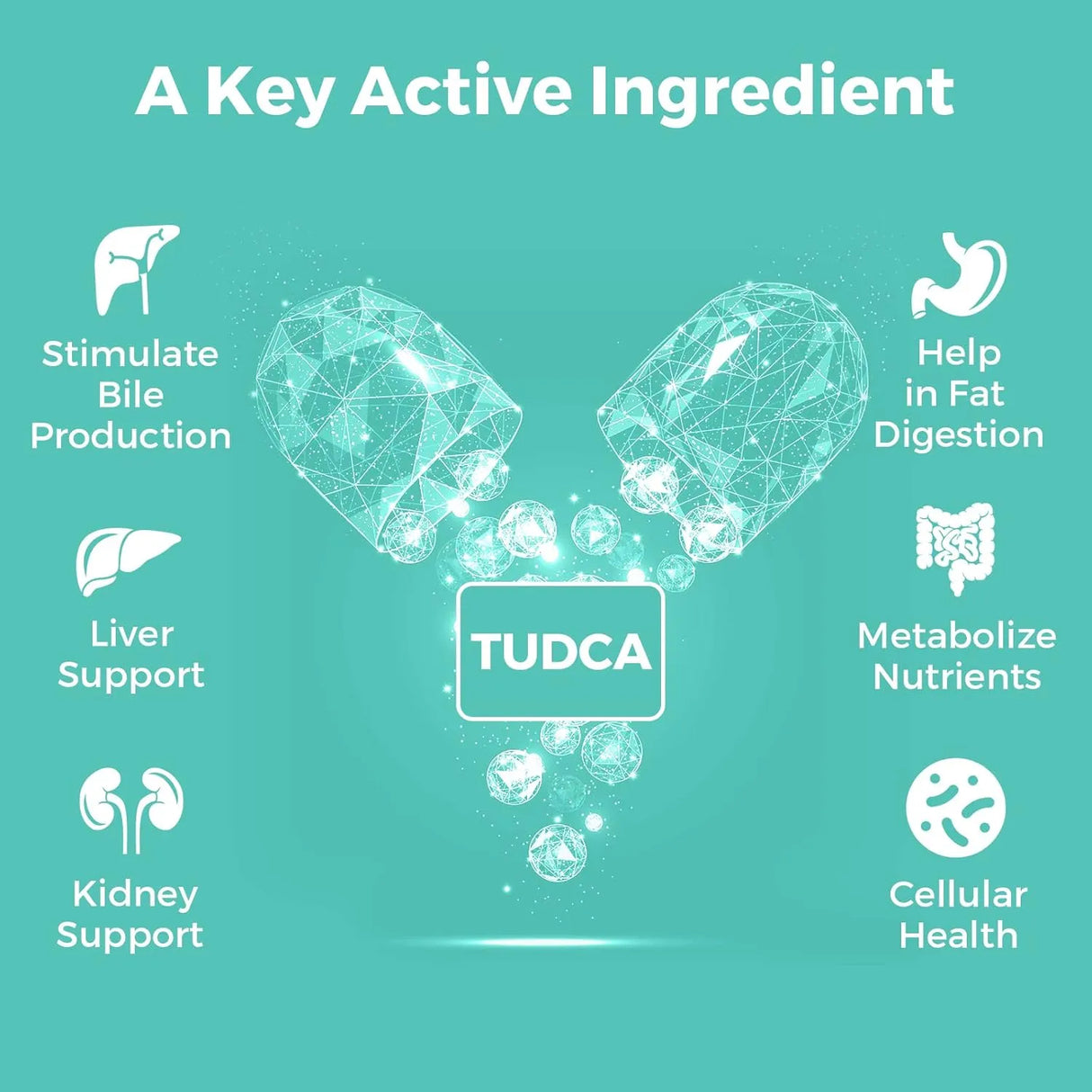 KAYSEARI - Kayseari TUDCA 1000Mg. 60 Capsulas - The Red Vitamin MX - Suplementos Alimenticios - {{ shop.shopifyCountryName }}