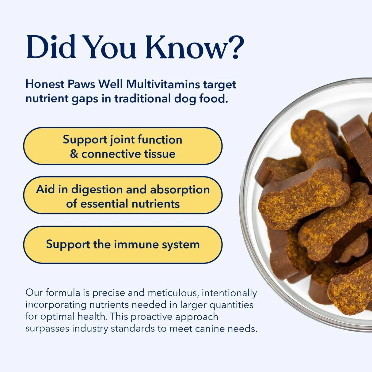 HONEST PAWS - Honest Paws Dog Multivitamin Soft Chews Beef Flavor 90 Masticables - The Red Vitamin MX - Multivitamínicos Para Perros - {{ shop.shopifyCountryName }}