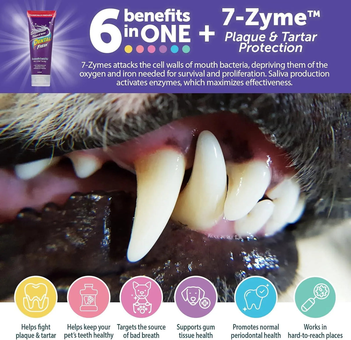 DENTAL FRESH - Dental Fresh Enzymatic Gel for Dogs 2.5 Oz. - The Red Vitamin MX - Cuidado Dental Para Perros - {{ shop.shopifyCountryName }}