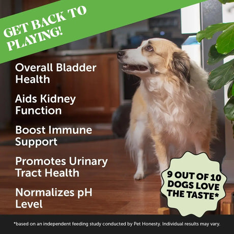 PET HONESTY - Pet Honesty Bladder Health Cranberry Supplement for Dogs Bacon 90 Masticables - The Red Vitamin MX - Salud De Tracto Urinario Para Perros - {{ shop.shopifyCountryName }}