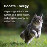 PetAg Vitamin & Mineral Gel Supplement for Cats 100Gr.