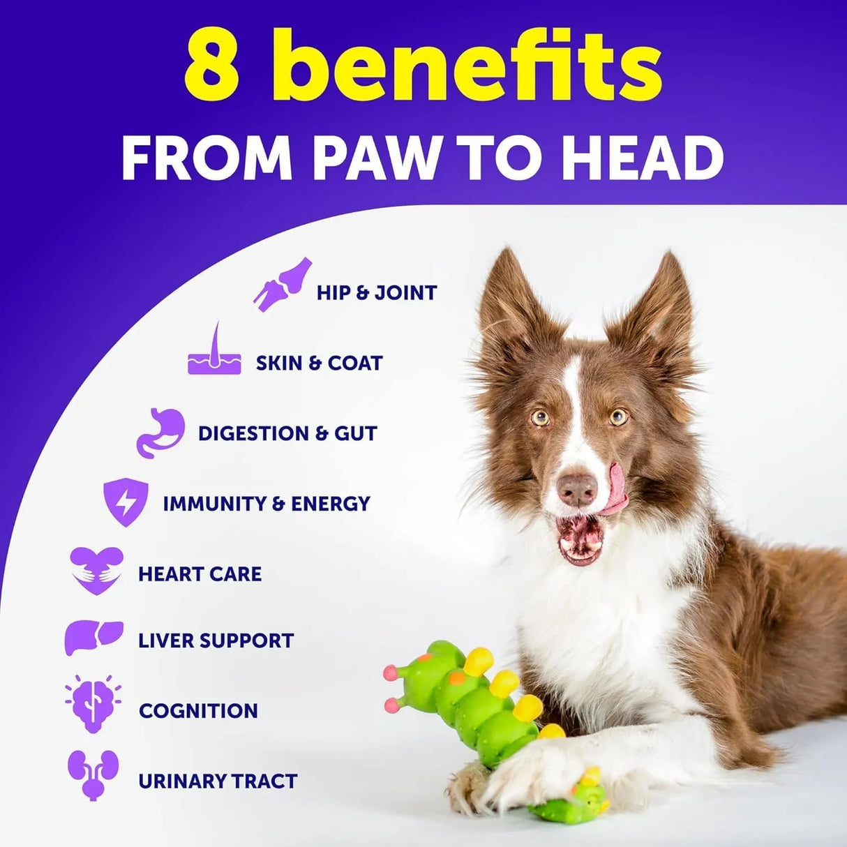 ARTULLANO - Artullano Dog Multivitamin Chewable with Glucosamine 20 in 1 120 Masticables - The Red Vitamin MX - Multivitamínicos Para Perros - {{ shop.shopifyCountryName }}