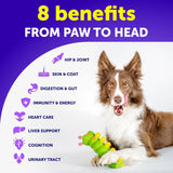 ARTULLANO - Artullano Dog Multivitamin Chewable with Glucosamine 20 in 1 120 Masticables - The Red Vitamin MX - Multivitamínicos Para Perros - {{ shop.shopifyCountryName }}