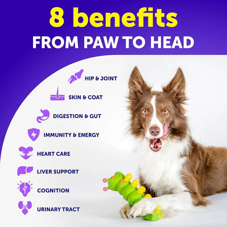 ARTULLANO - Artullano Dog Multivitamin Chewable with Glucosamine 20 in 1 120 Masticables - The Red Vitamin MX - Multivitamínicos Para Perros - {{ shop.shopifyCountryName }}