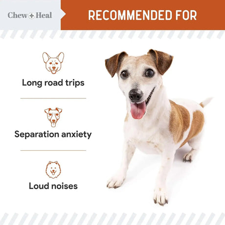 CHEW + HEAL - Chew + Heal Labs Calming Chews for Dogs Chicken 60 Masticables - The Red Vitamin MX - Relajantes Para Perros - {{ shop.shopifyCountryName }}