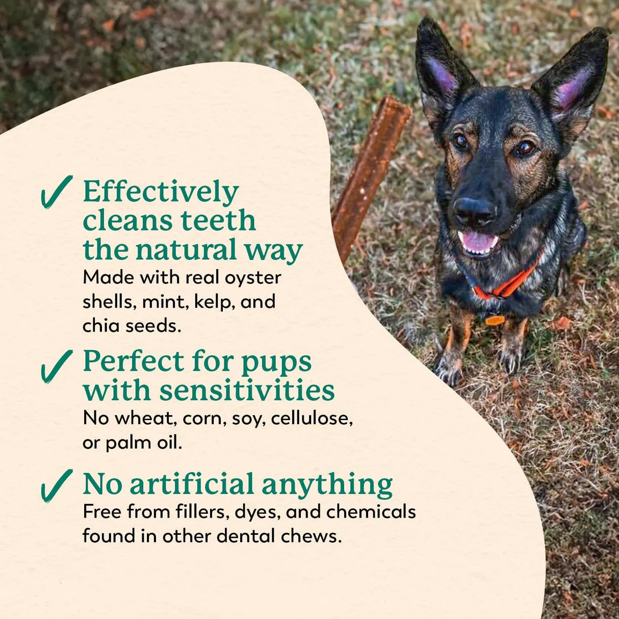 DR. HARVEY'S - Dr. Harvey's Holistix Dental Chews for Dogs 24 Piezas - The Red Vitamin MX - Cuidado Dental Para Perros - {{ shop.shopifyCountryName }}