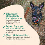 DR. HARVEY'S - Dr. Harvey's Holistix Dental Chews for Dogs 24 Piezas - The Red Vitamin MX - Cuidado Dental Para Perros - {{ shop.shopifyCountryName }}