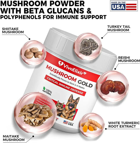VIVAELIXIR - VivaElixir Turkey Tail Mushroom for Dogs 120 Tabletas Masticables - The Red Vitamin MX - Suplementos Herbales Para Perros - {{ shop.shopifyCountryName }}