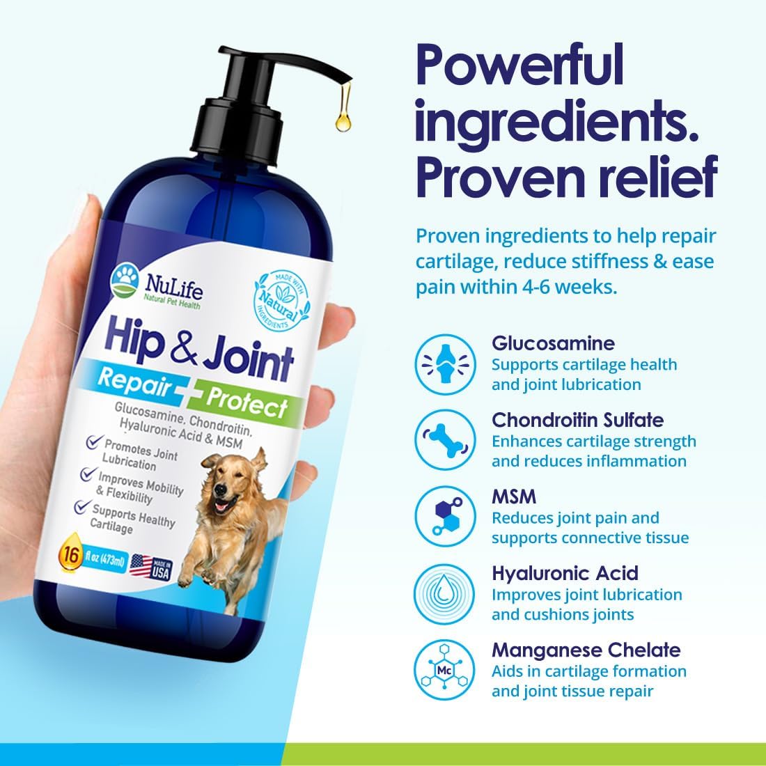 NuLife Hip & Joint Liquid Glucosamine for Dogs 16 Fl.Oz.