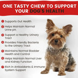 VITAMIN PAWS - Vitamin Paws Cranberry Supplement for Dogs 30 Masticables - The Red Vitamin MX - Salud De Tracto Urinario Para Perros - {{ shop.shopifyCountryName }}