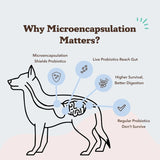 NATURAL DOG COMPANY - Natural Dog Company Probiotic Chews for Dogs Chicken Flavor 45 Masticables - The Red Vitamin MX - Probióticos Para Perros - {{ shop.shopifyCountryName }}