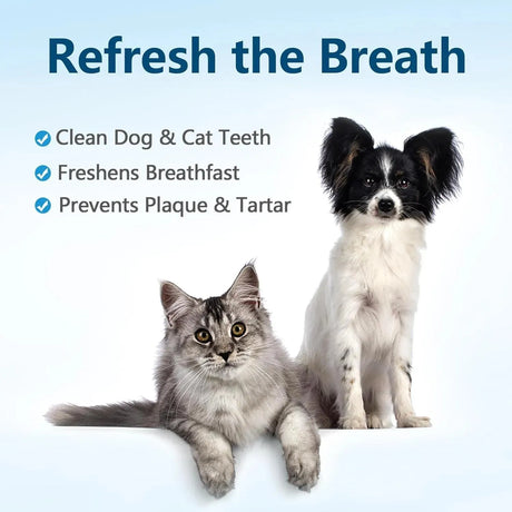 TZQPOKUT - Tzqpokut Dog Teeth Cleaning Wipes 50 Piezas - The Red Vitamin MX - Cuidado Dental Para Perros - {{ shop.shopifyCountryName }}