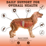 JACK&PUP - Jack&Pup Bark Buddies Multi-Buddy Dog Multivitamins 60 Masticables - The Red Vitamin MX - Multivitamínicos Para Perros - {{ shop.shopifyCountryName }}