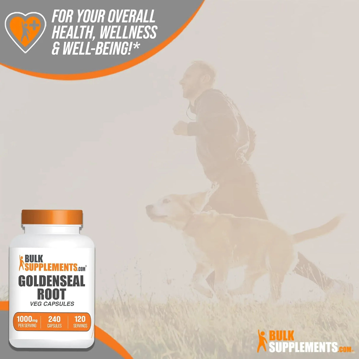 BULK SUPPLEMENTS - Bulk Supplements Goldenseal Root 1000Mg. 240 Capsulas - The Red Vitamin MX - Suplementos Alimenticios - {{ shop.shopifyCountryName }}