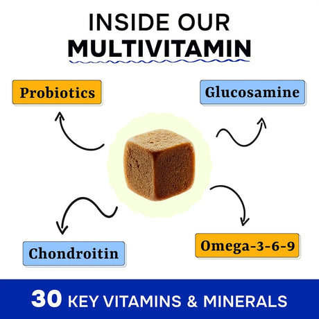 PAWSENTIAL - Pawsential Chewable Multivitamins + Probiotics, Omega 120 Masticables - The Red Vitamin MX - Multivitamínicos Para Perros - {{ shop.shopifyCountryName }}