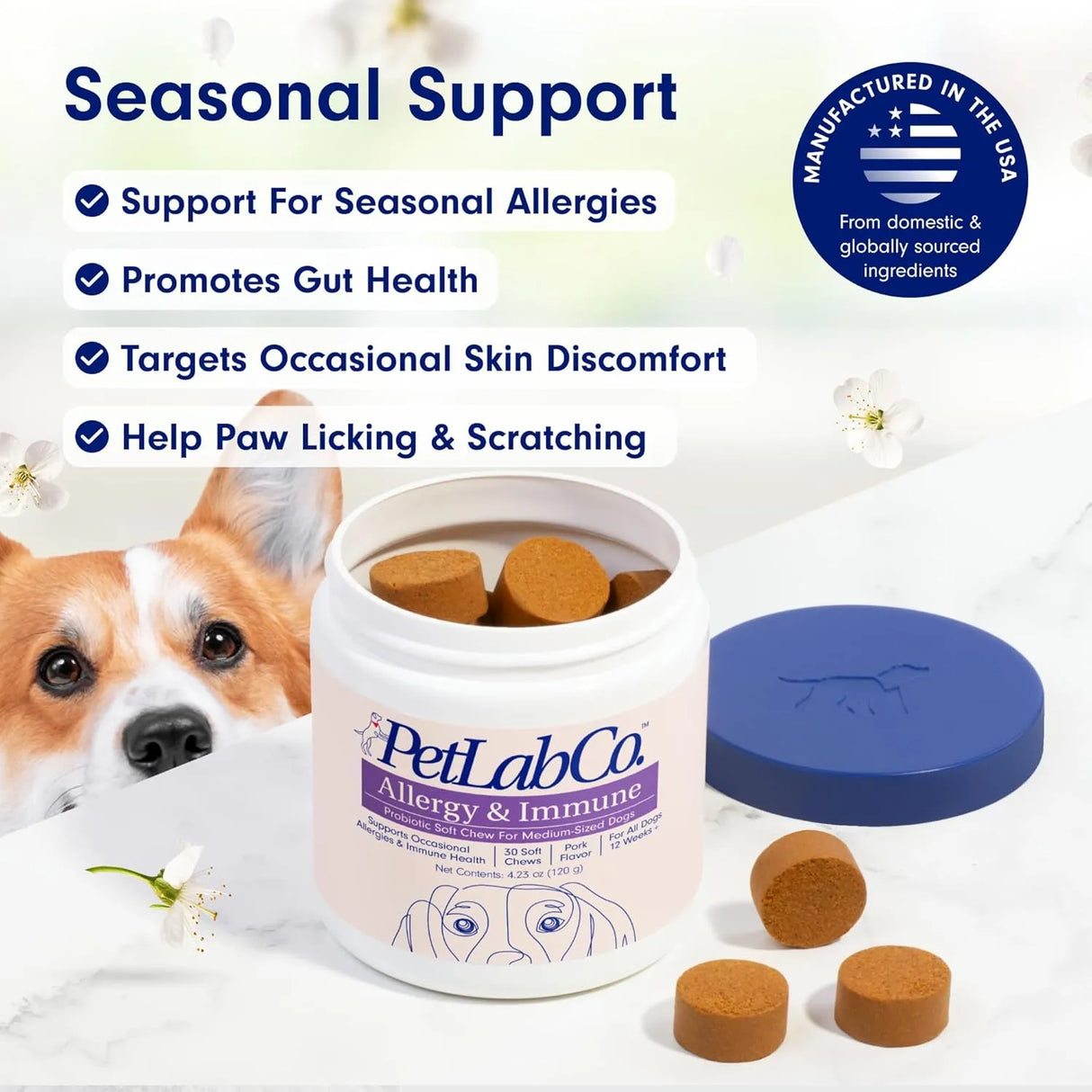 PETLAB CO. - PetLab Co. Allergy & Immune Daily Probiotics Medium Size Dogs 30 Masticables - The Red Vitamin MX - Probióticos Para Perros - {{ shop.shopifyCountryName }}