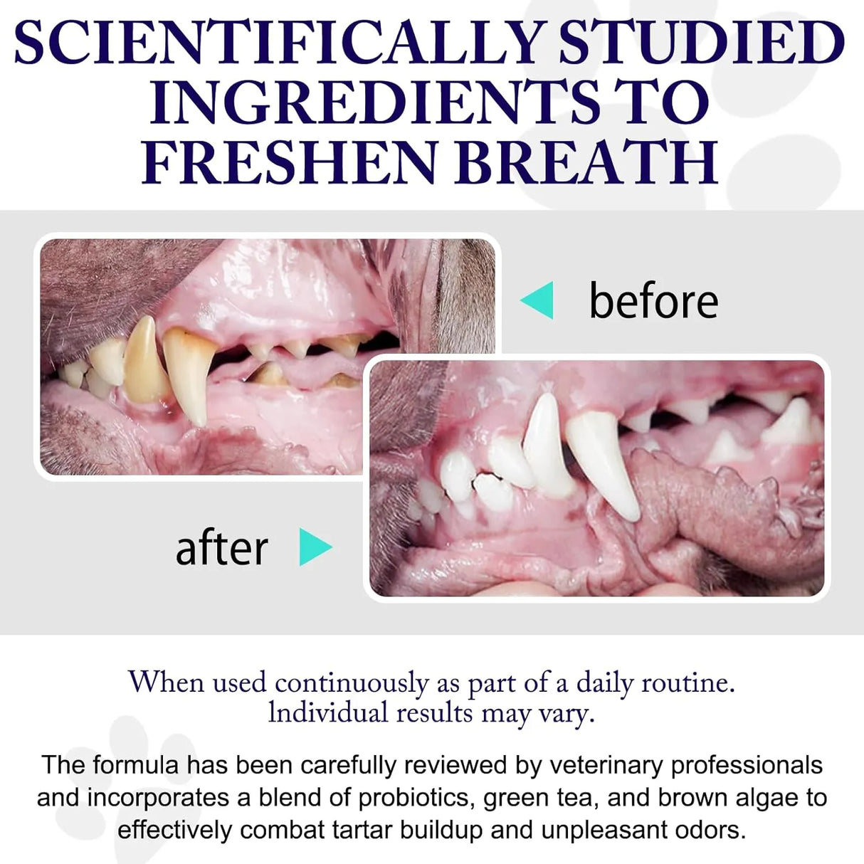 KZUO - Kzuo Dog Teeth Cleaning Powder 100Gr. 2 Pack - The Red Vitamin MX - Cuidado Dental Para Perros - {{ shop.shopifyCountryName }}